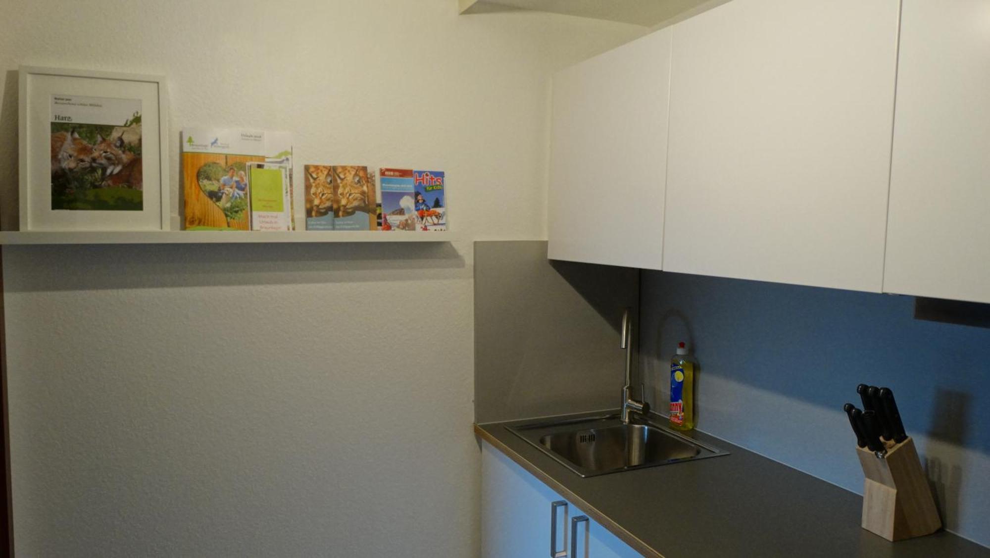 Bergziege Apartment Braunlage Bagian luar foto
