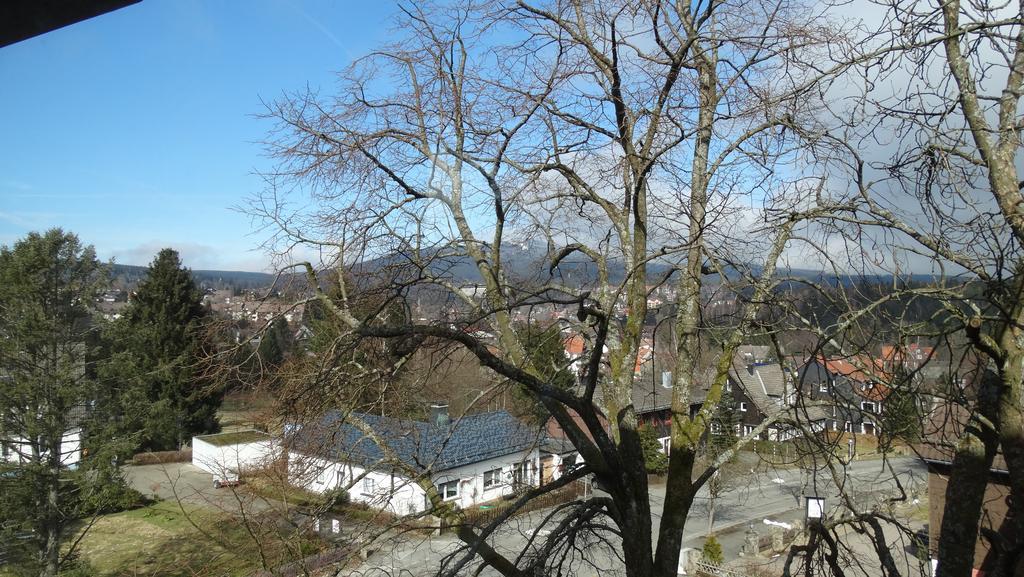 Bergziege Apartment Braunlage Bagian luar foto