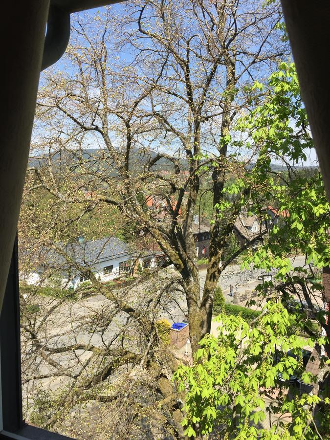 Bergziege Apartment Braunlage Bagian luar foto